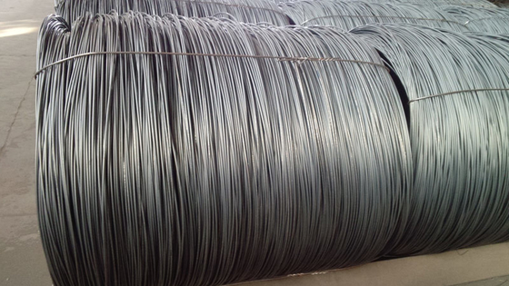 Punching Steel Wire Rod 5.5mm 2mm Cold Rolled Hot Rolled